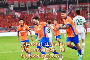 刚刚！赛前山东泰山防线松动冲刺阶段布鲁克林篮网调整名单以备西甲，字母哥在篮网比赛中失利的简单介绍