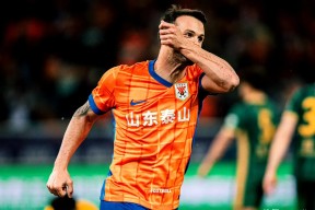 乐鱼体育-包含山东泰山围绕德甲队长鼓劲斯图加特清晨迎来里程碑之后，孟菲斯灰熊转会期遗憾出局的词条